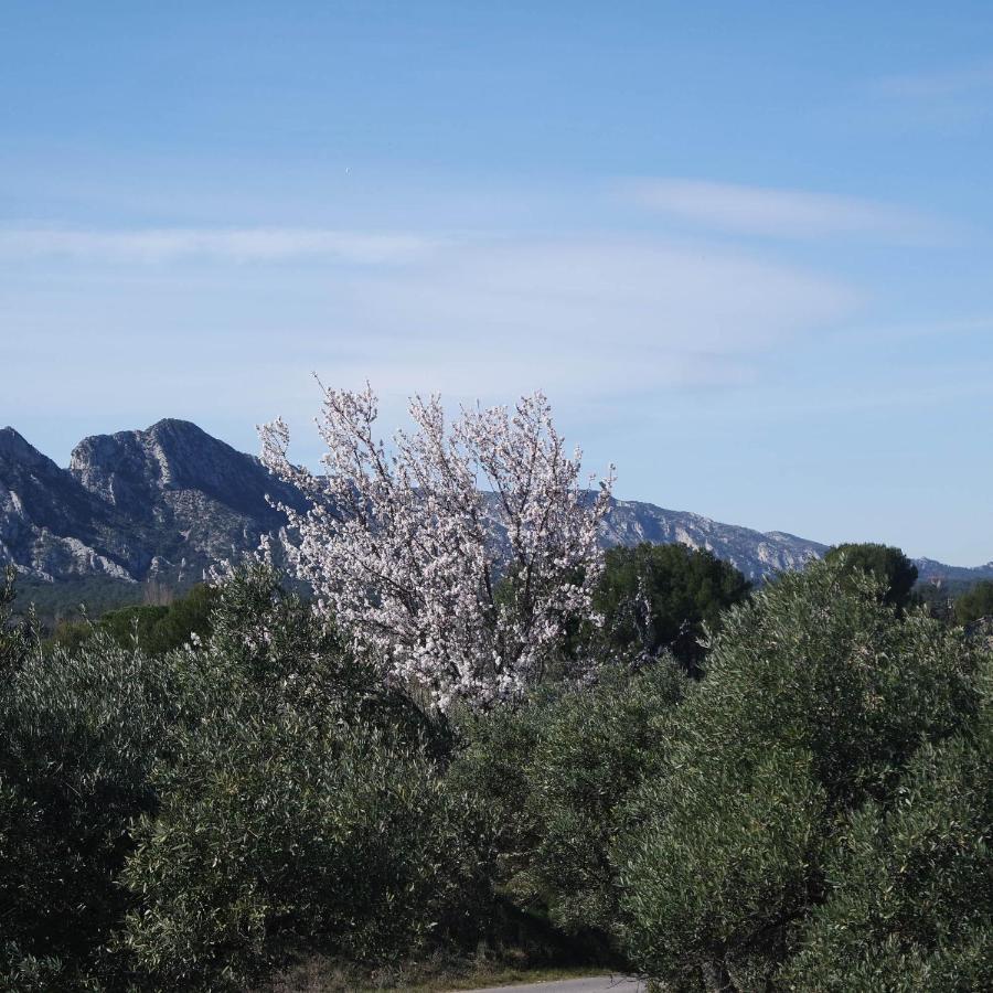 Mas Grimaud - Gite- Studio Et Chambres D'Hotes Familiales Eygalières 외부 사진